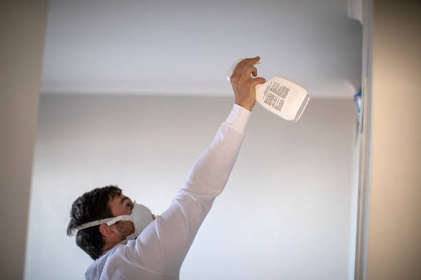 Best Mold Remediation  in Gray Summit, MO