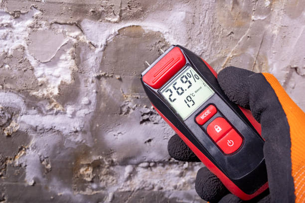 Crawl Space Mold Removal in Gray Summit, MO
